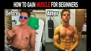 How To Gain Muscle for BEGINNERS (Build Muscle Mass)