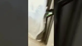10 июля 2023 г.