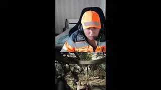 Вечернее общение