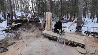 Stickering  the slabs  | Chainsaw milling!