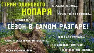 Сезон в самом разгаре, новые интересные находки радуют копарский глаз!