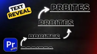 How to make TEXT REVEAL in Premiere Pro