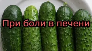 Как и чем лечить печень? Народная медицина. Целитель. Лекарь. Доктор. Аптека. Лечебные растения.