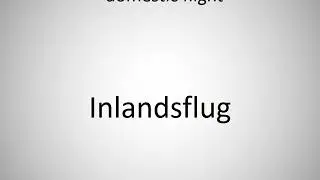 How to say domestic flight in German? (Inlandsflug)
