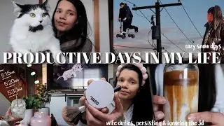 PRODUCTIVE VLOG | spend an early & busy day w/me, wife duties, persisting & ignoring 3D + snow days
