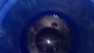 УЗВ кормим живым кормом
