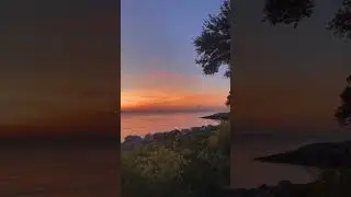 Rise & shine #Lowcountry ☀️🎥: sdaphnis on IG