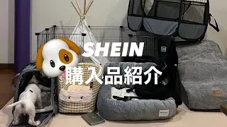 新しい子を迎えたのでSHEINでグッズ集めてみた🐶🤎