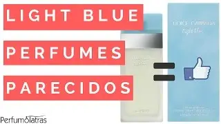 Perfumes parecidos com o Light Blue feminino