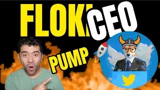 Floki CEO PUMP estas GANANDO $dinero?