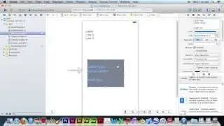 Xcode Multi Line Label Lesson