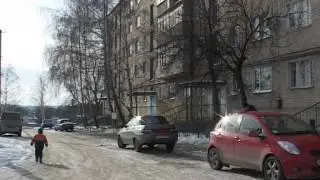Около двух лет жителям дома в Подворках не дают покоя собаки, которые обитают в их дворе