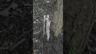 Anglin Falls