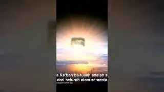 ☝️Full Video ~ Hewan-Hewan Unik Pernah Tawaf di Kabah