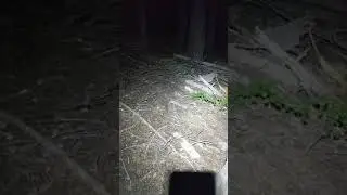 Snakey pct 2018