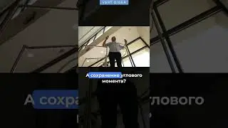 Это левитатор для человека #vertdider #veritasium