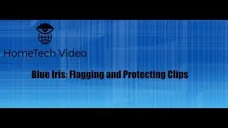 Blue Iris - Flagging and Protecting Clips