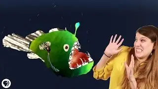 Why Do Deep Sea Creatures Look So Scary?
