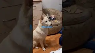 Элен 8 месяцев..
