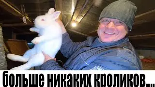 больше никаких кроликов.........