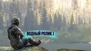 дейз чилл