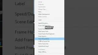 How To Freeze A Frame In Premiere Pro