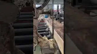 Factory table saw #tablesaw #saw #cuttingmachine #manualwork #woodworking #cuttingtree #cuttingwood