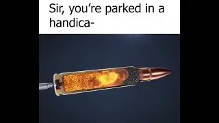 Missisipi Queen Disabled gun meme