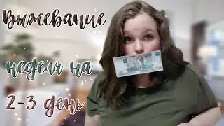 НЕДЕЛЯ НА 1000 РУБЛЕЙ ЗИМА 2023 ✅ 2-3 ДЕНЬ ВЫЖИВАНИЯ 🍎 ЖИВУ НА 1000 РУБЛЕЙ В 2023 🤪