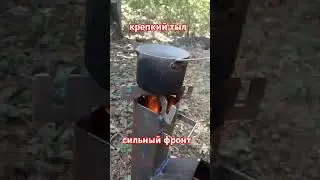 Крепкий тыл-сильный фронт