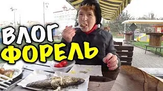 🐟 КУШАЕМ ФОРЕЛЬ ДЛЯ ПОЖИЛЫХ ЛЮДЕЙ 🐟УДОВОЛЬСТВИЕ НЕ ПОЛУЧИЛИ 😀