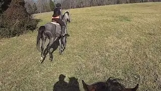 Horses Galloping Sony HDR AS-15 Helmet Camera