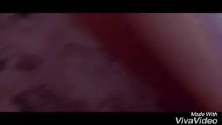 Волга (газ 21)