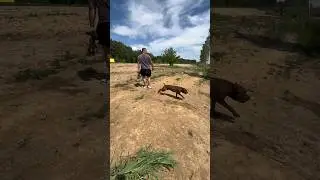 Лучший тренажер летом 
