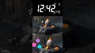 lingashtakam shivling ki vishesh puja #shorts #shivling #shiv #aaradhna