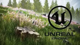 Unreal Engine 5 /Country Side/Environment Art