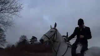 Hare chopped at Chillesford Lodge // Easton Harriers, 26.01.19