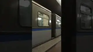 русичь-81 740 прибыл на станцию бульвар дмитрия донсково