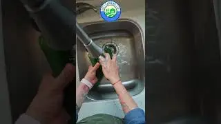 🥒 Farming facts about cucumbers #farming #cucumber #shorts