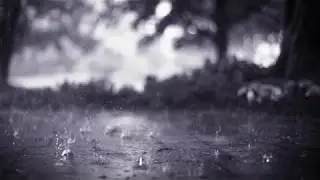 Precipitation - Instrumental - Rotaris