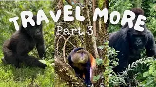 5 Tips to Find more Energy to Travel