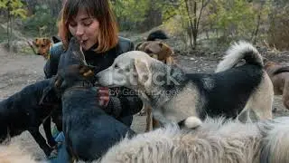 The Incredible Journey: Dogs and Humans Evolving Together