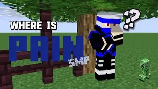 What happened to Pain's Public SMP?