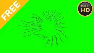 Scribble Effect Green Screen with Sound Effect  ► (MultiVerse Studio) ► Full HD