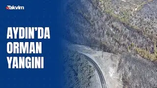Aydın'daki Bozdoğan yangını günün ilk ışıklarıyla böyle görüntülendi