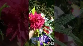 Венок на утренник из бумажных цветов