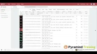 Using the Splice Sounds Platform | Creating Custom Sound Packs | Samples, Loops & Hits part I