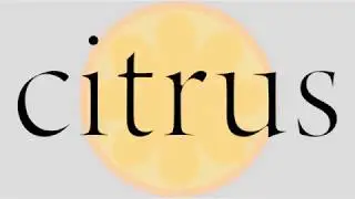 citrus op  latino 60fps