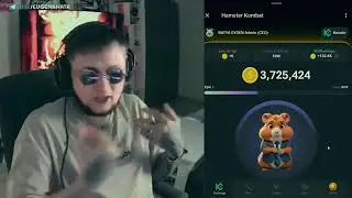 Как прокачать Хомяка за один день