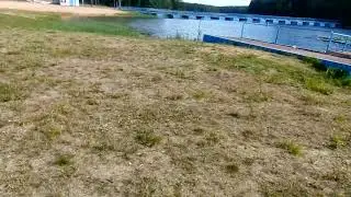Прогулка возле озера. Бабочка углокрыльница.